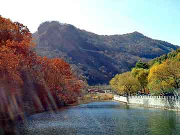 管家婆黑白马报图库，黑帽seo程序